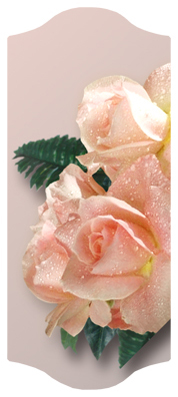DARAY-C-062 Bouquet Of Roses Peach
